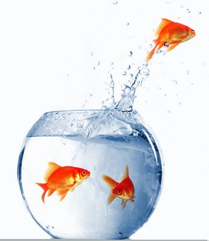 jumping_fish